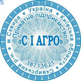 Фото Печать для предпринимателя Пример 5