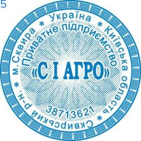 Фото Печать для предпринимателя Пример 5